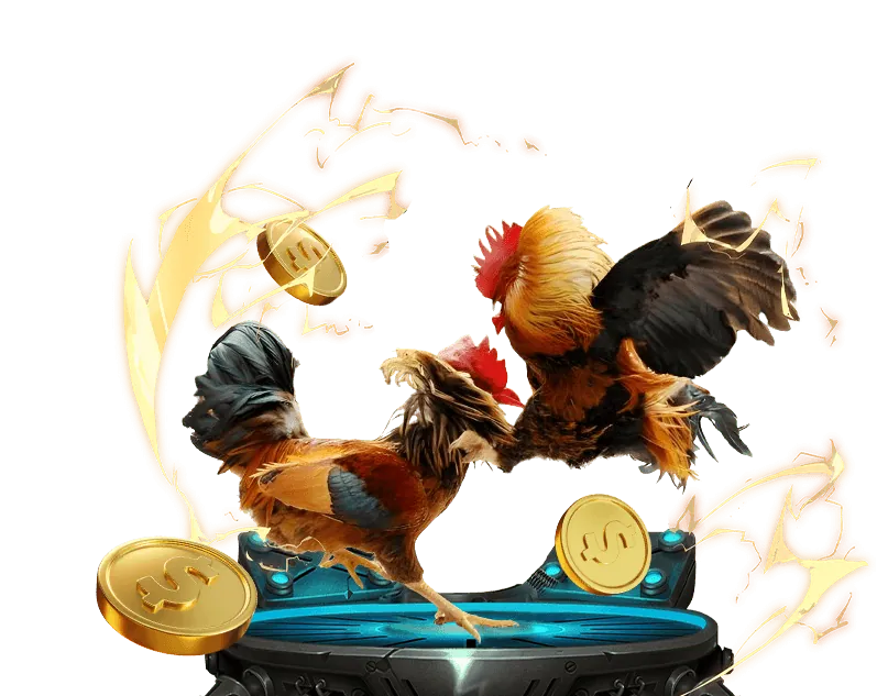 Giới thiệu tổng quan về tài nguyên NEW888 App